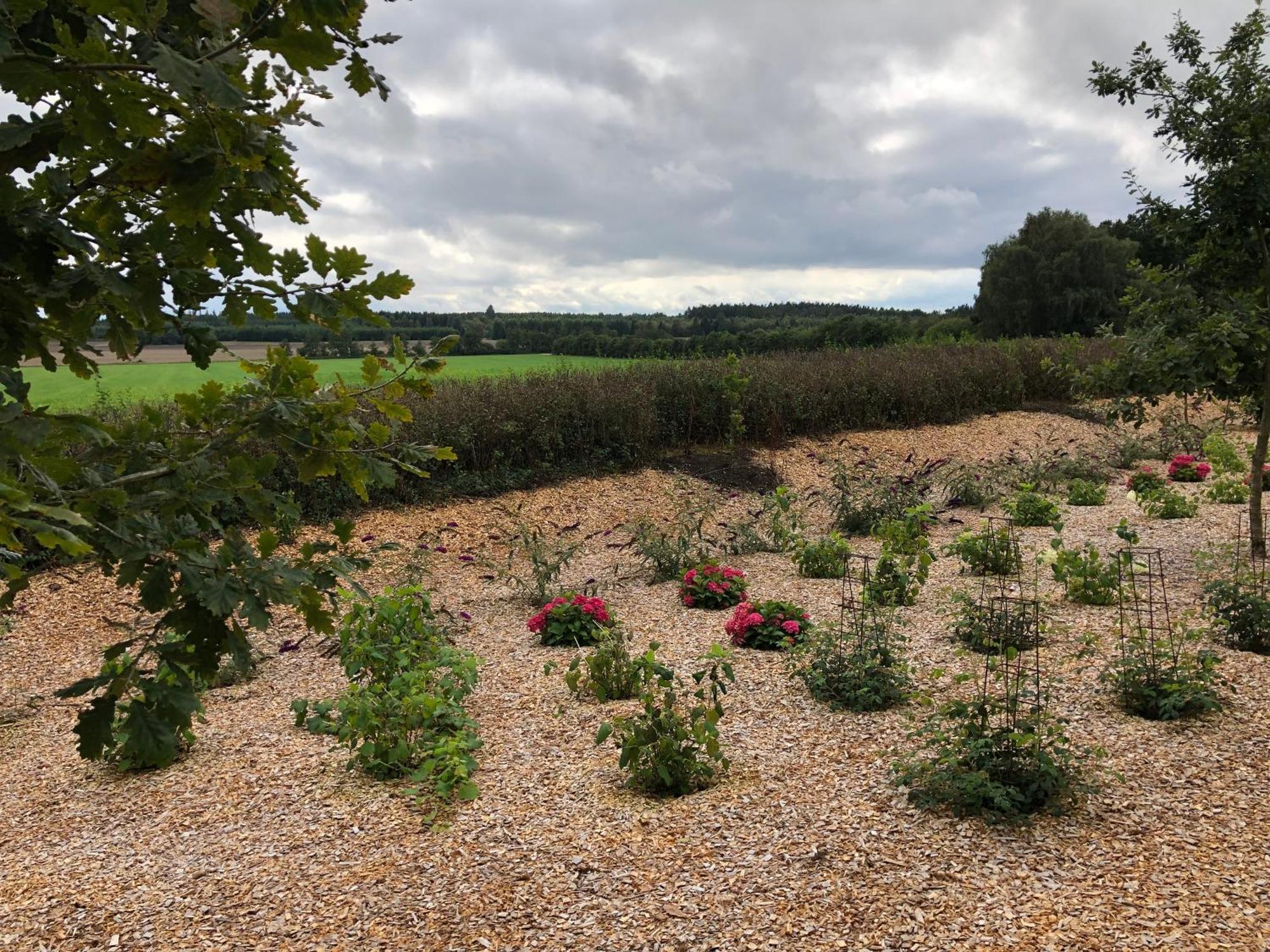 Billund Rooms Buitenkant foto