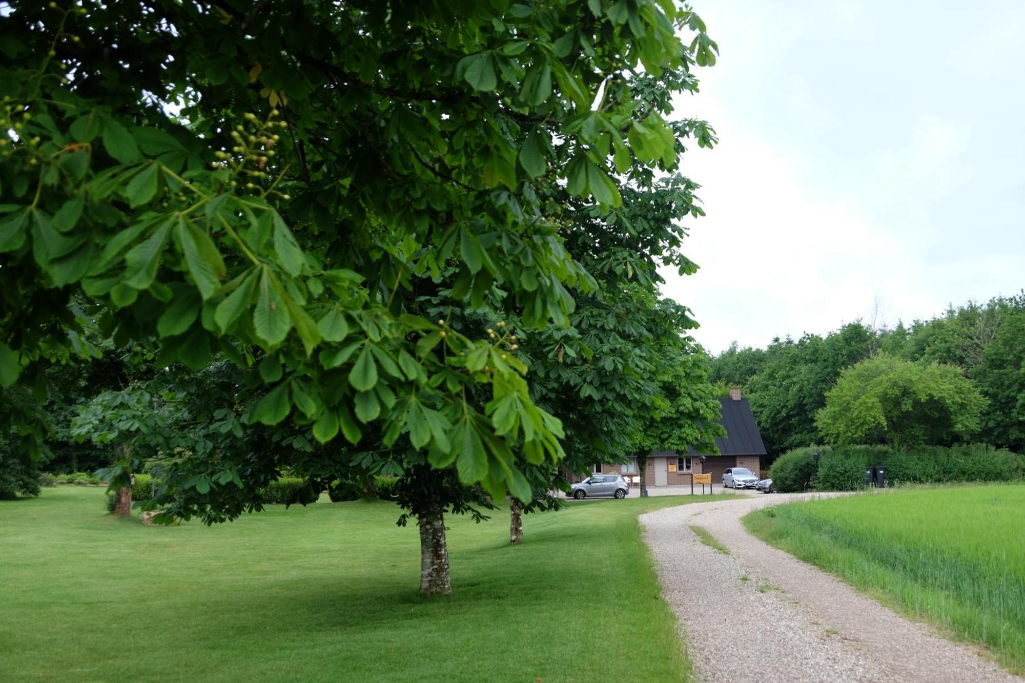 Billund Rooms Buitenkant foto